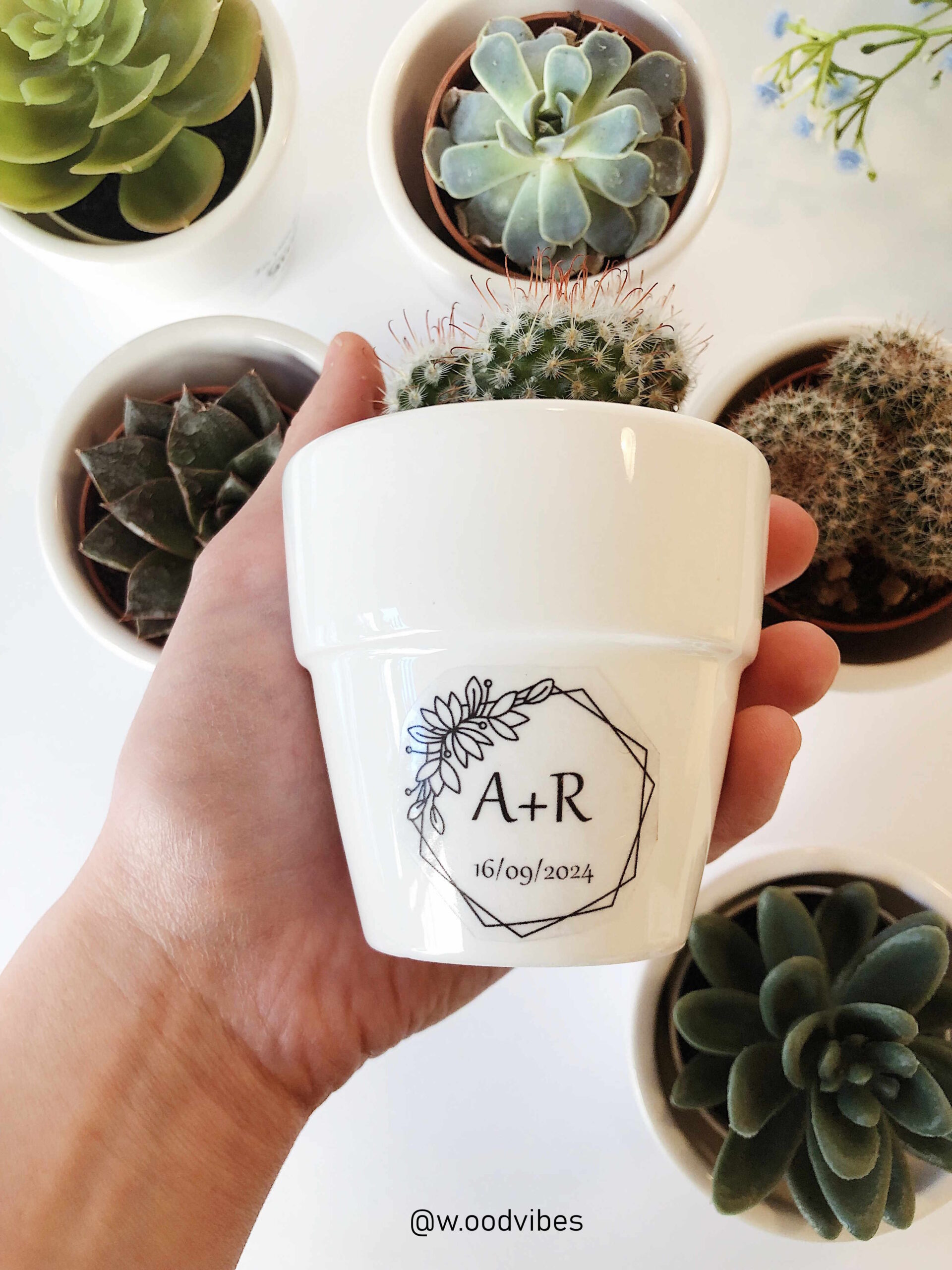 Processed with VSCO with a4 preset